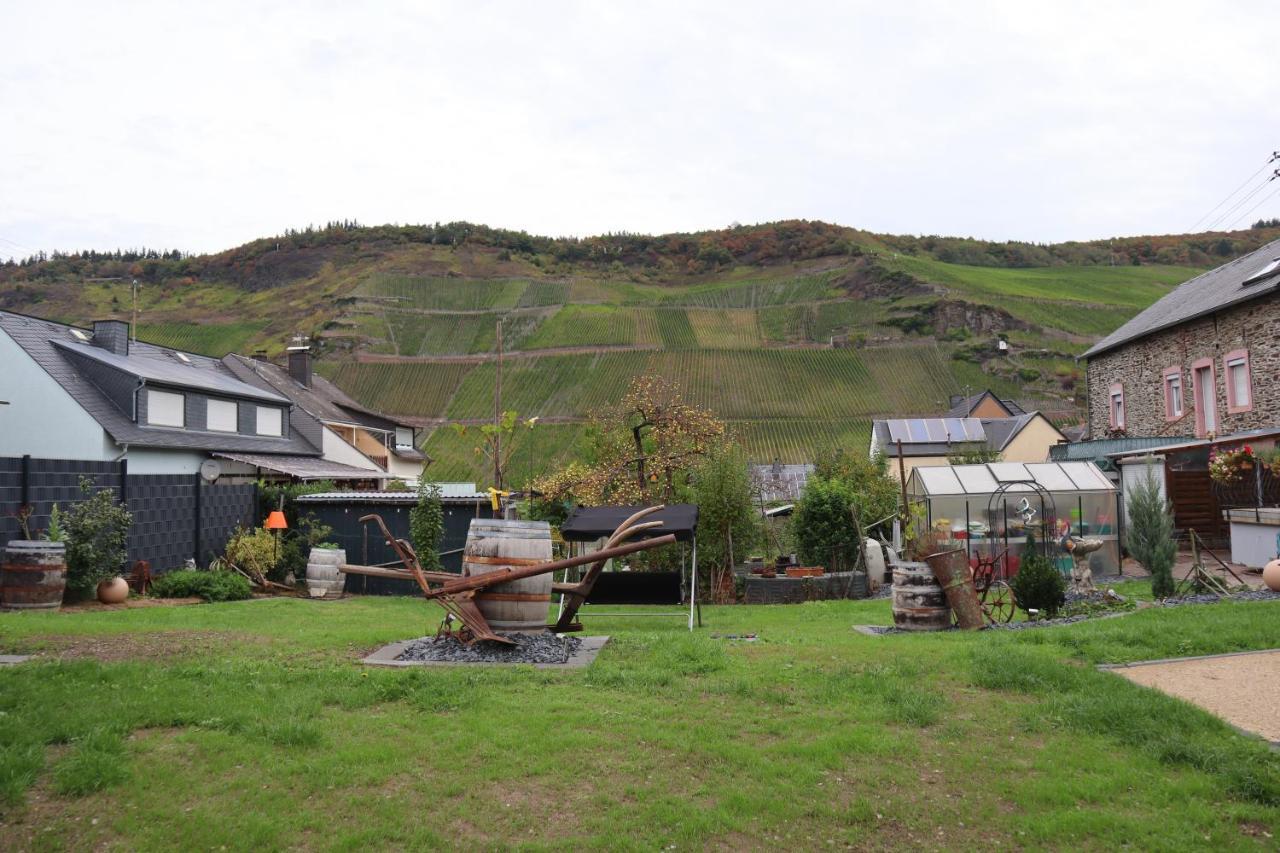 Winzerhaus Wehlener Sonnenuhr Villa Bernkastel-Kues Ngoại thất bức ảnh